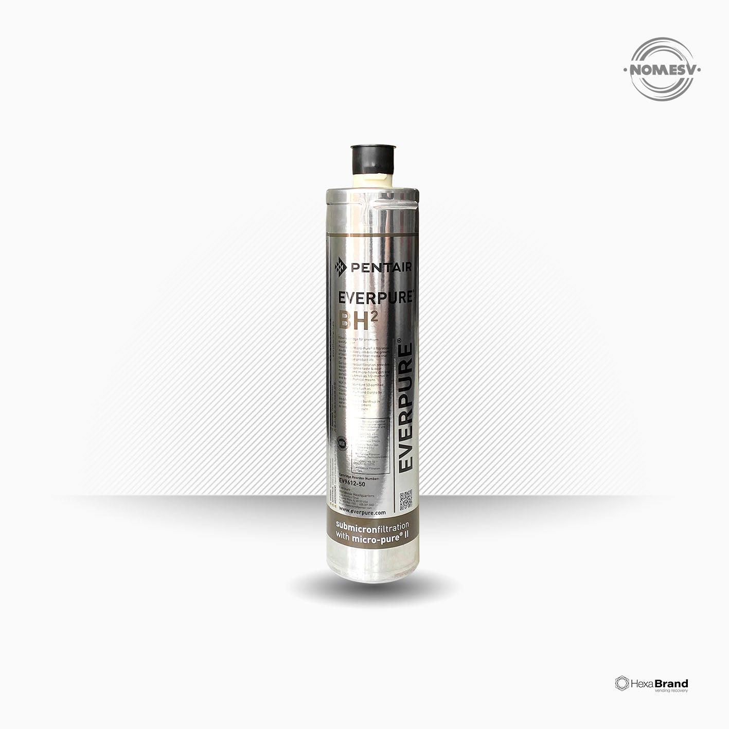 Filtro - cartucho Everpure BH2 - EV961251