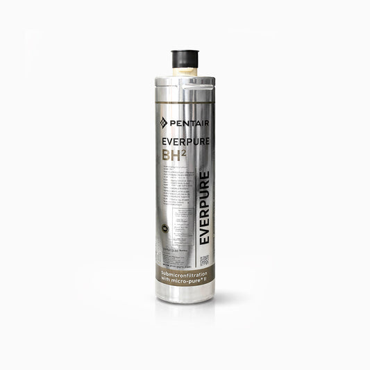 Filtro - cartucho Everpure BH2 - EV961251